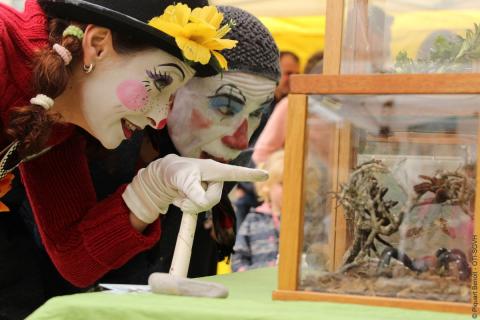 ©Benoît PIQUART - OTI-SGVH