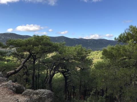 ©Julie SOLIGNAC - OTI SGVH