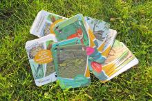 © Muriel Marchand - CCVH © Muriel Marchand - CCVH