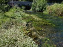 © Les Ecologistes de l'Euzière