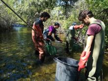 © Thierry Alignan - CCGPSL