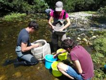 © Thierry Alignan - CCGPSL