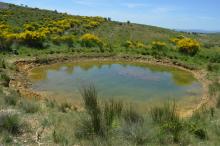 Aumelas ©F_Barreda Aumelas ©F_Barreda