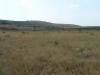 6220 - Parcours substeppiques de graminées et annuelles du Thero-Brachypodietea 
